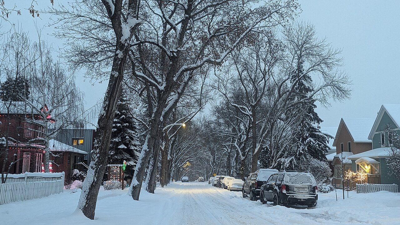 Snowy residential street lined with elms in Old Strathcona